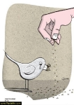 Images_6