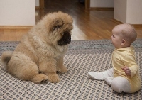 Images_11