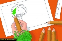 Images_13