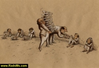 Images_13