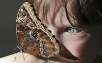 Images_16