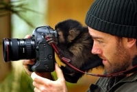 Images_1