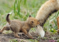 Images_20