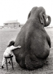 Images_21