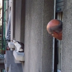 Images_22
