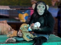 Images_23