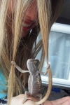 Images_24