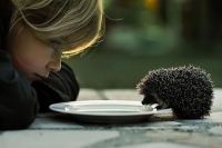 Images_25