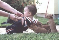 Images_4