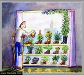 Images_6