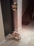 Images_8