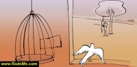 social cartoon_25